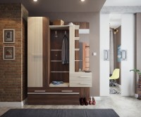 Прихожая в коридор Брауни