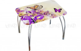 Обеденный стол прямоугольный с фотопечатью