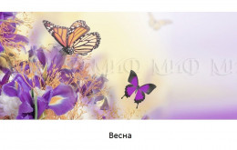 Обеденный стол прямоугольный с фотопечатью