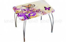 Обеденный стол прямоугольный с фотопечатью