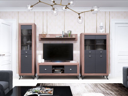 Шкаф-витрина  малая 2-х дв. Модена