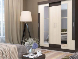 Шкаф купе Феникс