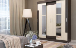 Шкаф купе Феникс