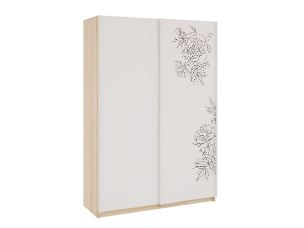 Шкаф-купе  - Зара