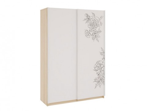Шкаф-купе  - Зара