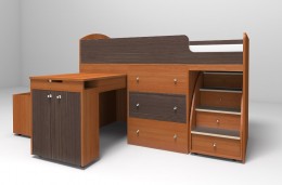 Вишня/бодего