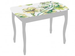 Кухонный стол МебельСон Экстра 1