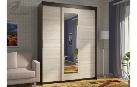 Шкаф-купе Эва ШК-017 1600 мм (Белый)