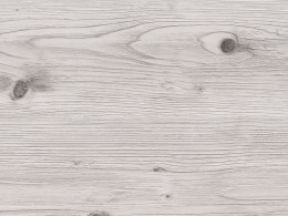 Сосна бискайская (2058М)