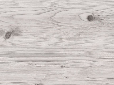 Сосна бискайская (2058М)