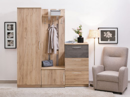 Шкаф распашной  Лофт