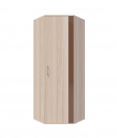 Распашной шкаф Берлин 17 угловой 