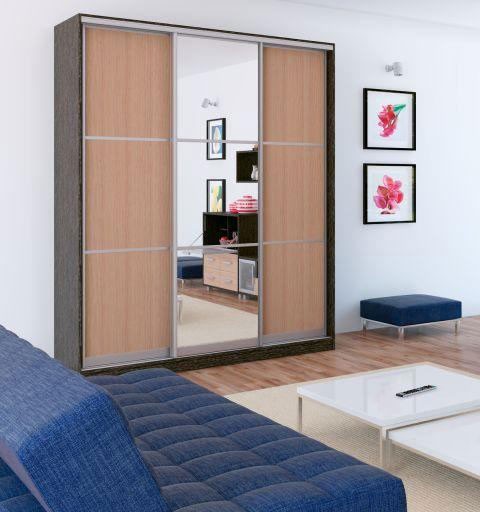 Наоми шкаф-купе