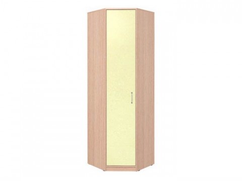 Шкаф детский  угловой 1