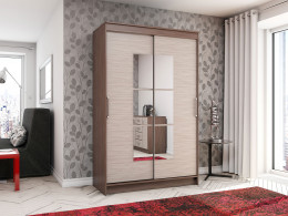 Шкаф-купе Эра Элегант 1