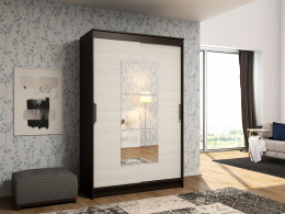 Шкаф-купе Эра Элегант 1