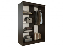 Шкаф-купе Эра Элегант 1