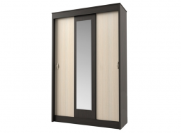 Шкаф купе Бася