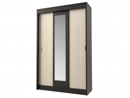 Шкаф купе Бася