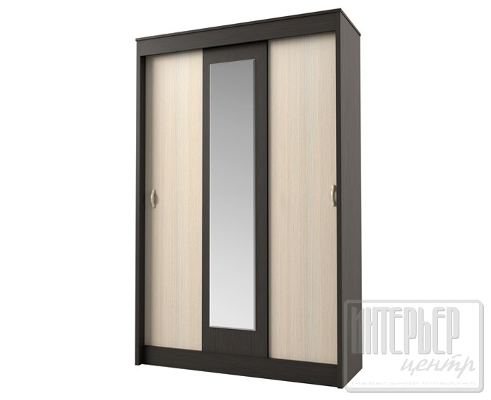 Шкаф купе Бася