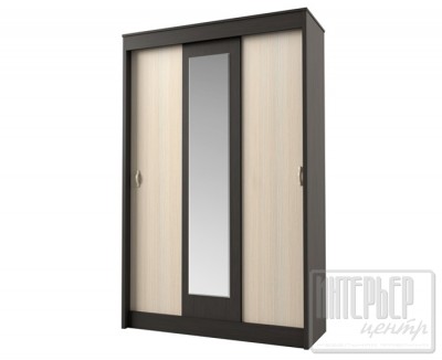 Шкаф купе Бася