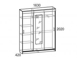 Шкаф купе Холл