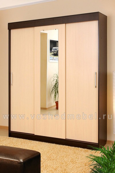 Шкаф купе Холл