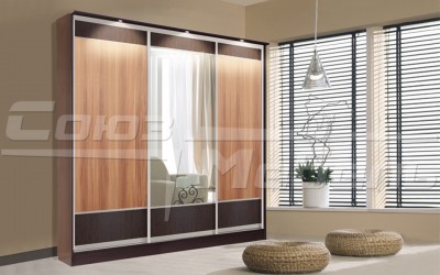 Шкаф купе Токио