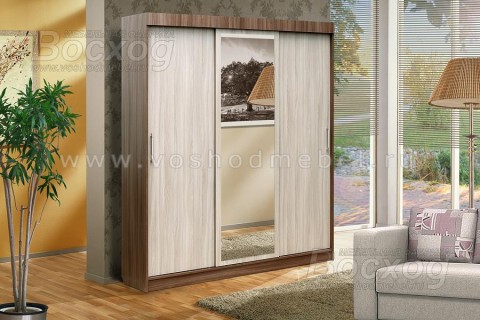 Шкаф купе Базис