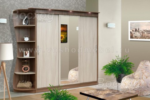 Шкаф купе Базис
