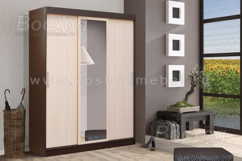 Шкаф купе Базис