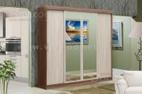 Шкаф купе Базис