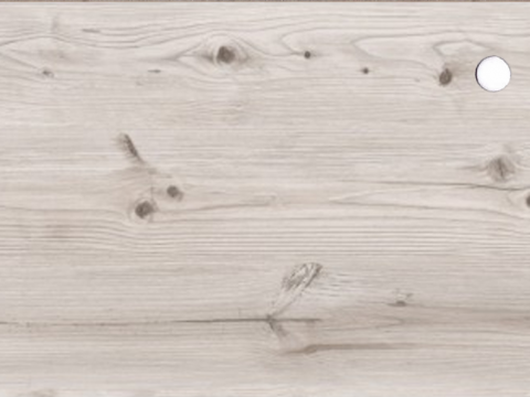 Сосна бискайская 26 мм. (2058М)