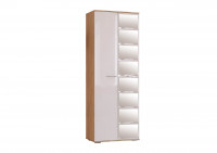 Шкаф распашной BTS Флай