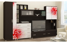 Гостиная Сакура, МДФ фотопечать