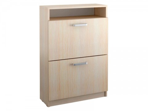 Обувница Челси